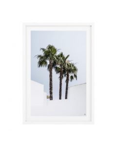 Palm Tree Prints - Set of 2 