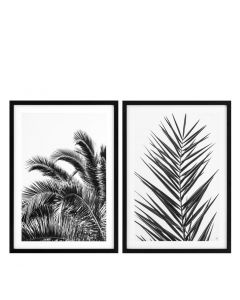 Palm Leaves Prints - Set of 2