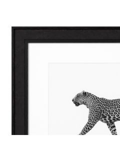 The Leopard Print