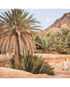 Moroccan Oasis Print 