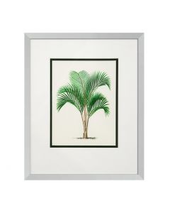 Palm Prints - Set of 4 